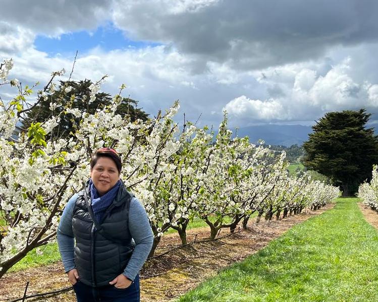  Ada pohon sakura Jepang di Melbourne ?